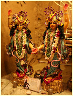 Nitai Sachi Suta